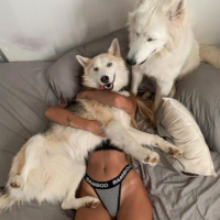 Kinkyfiles的化身