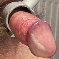 Cockdevil Avatar