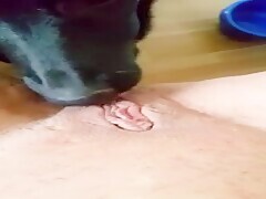 Watch Me Cum Hard With My Doggy