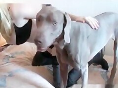 Thumb 19