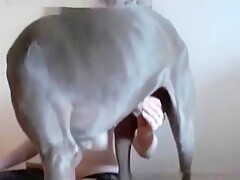 Thumb 20