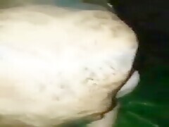 Thumb 17