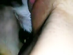 Thumb 16
