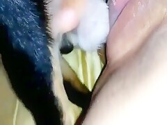 Thumb 4